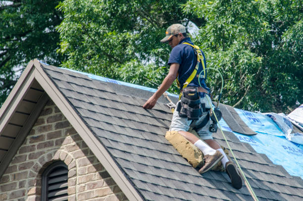 Best Best Roofing Contractors  in Rockport, IN
